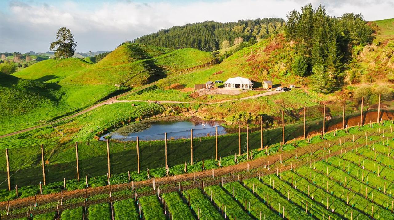 Orchard Valley Glamping Otorohanga Exterior photo