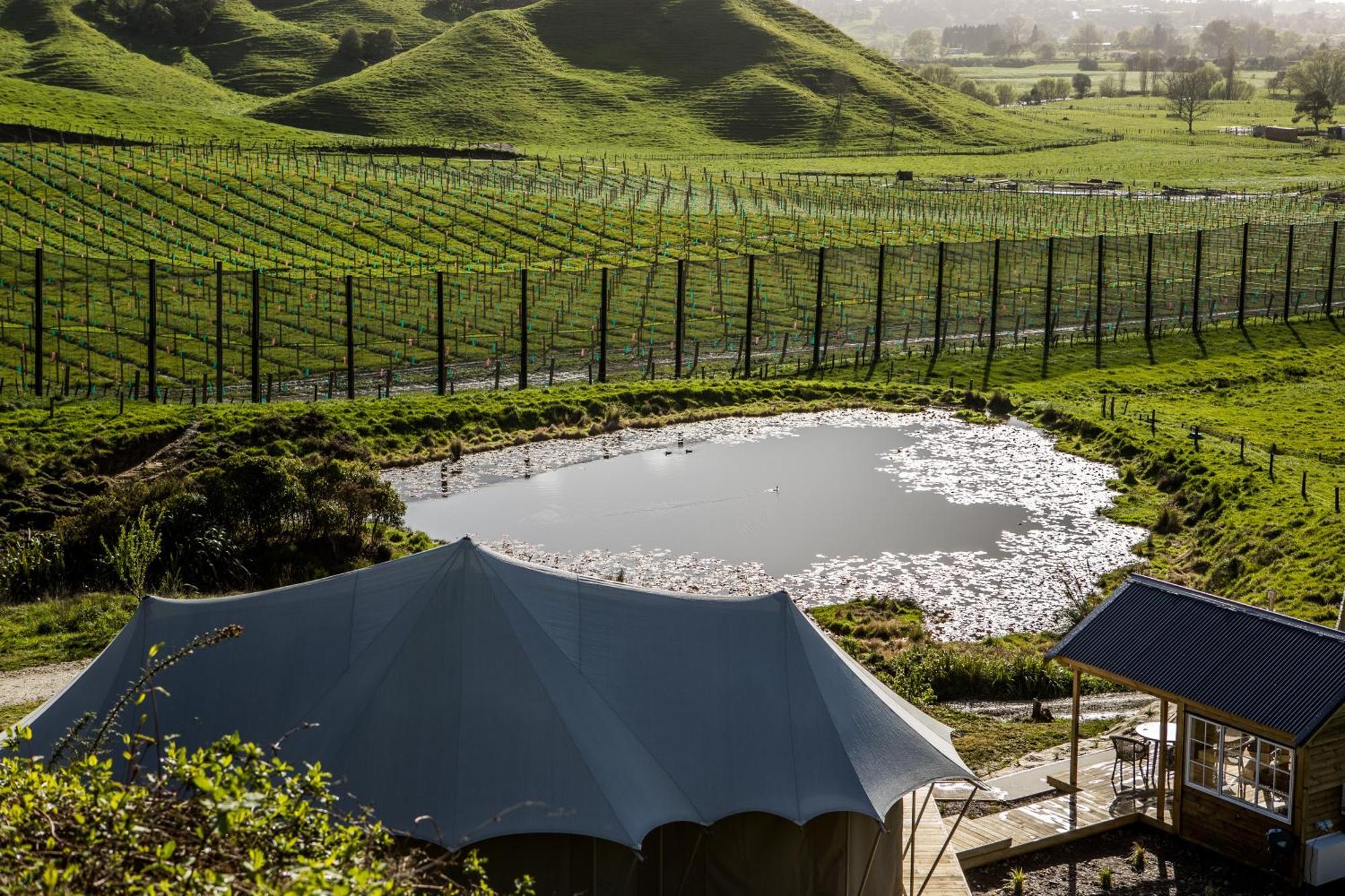 Orchard Valley Glamping Otorohanga Exterior photo